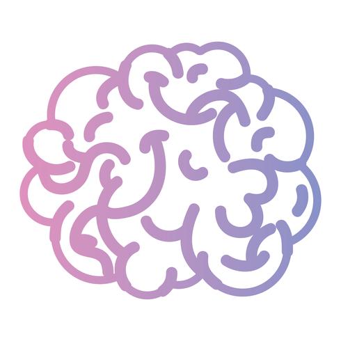 lijn menselijk brein anatomie tot creatief en intellect vector