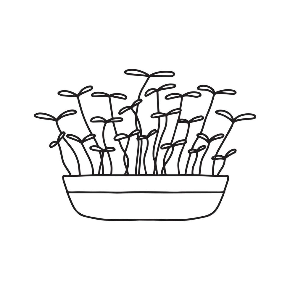 pot met microgroenten. microgreens erwten, radijs, ui, rucola. zonnebloem, bieten en anderen. vectorillustratie geïsoleerd op een witte achtergrond. doodle stijl. vector