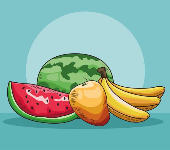 hand getrokken fruit vector