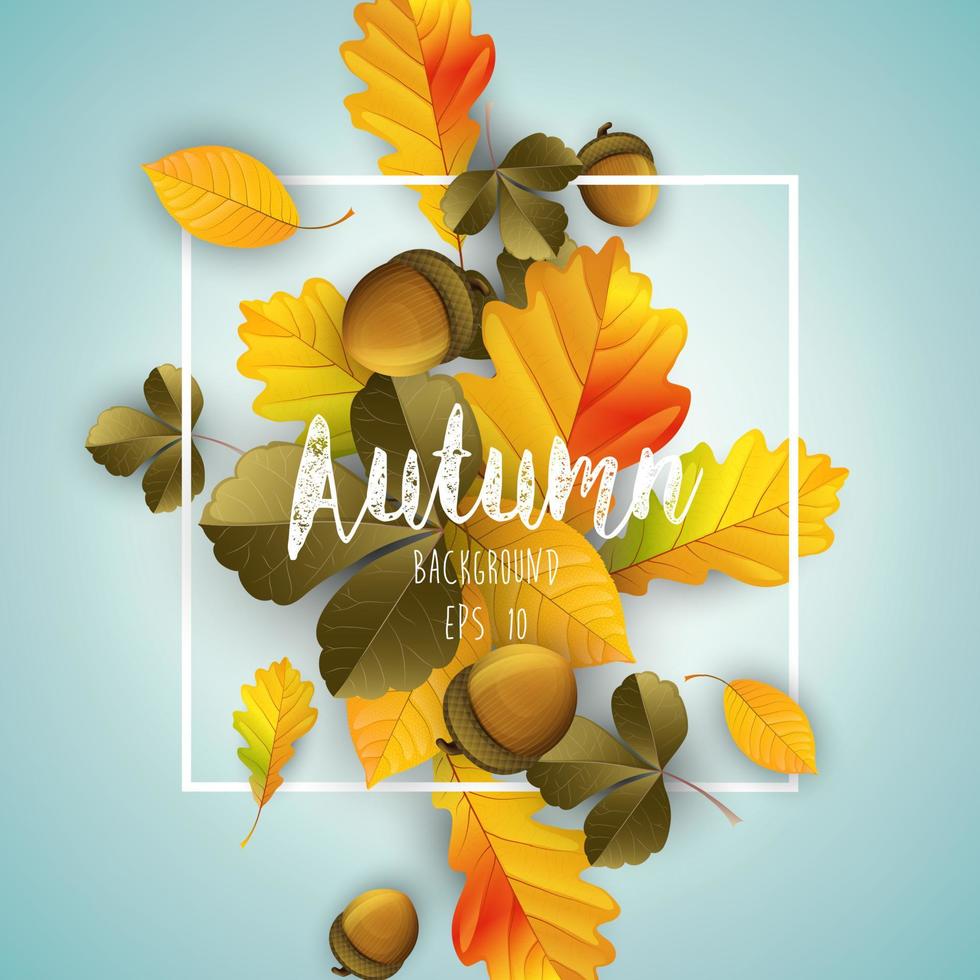 bladeren herfst achtergrond geïsoleerde blauwe achtergrond vector