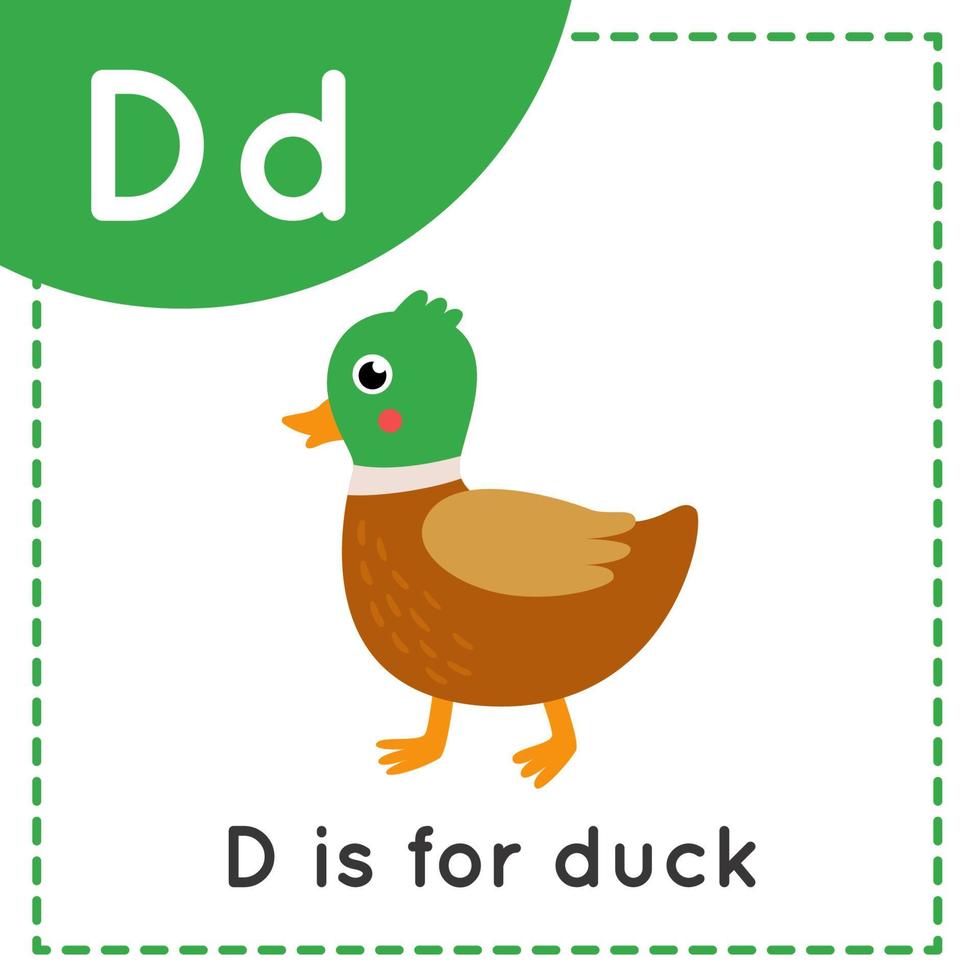 Engels alfabet leren voor kinderen. letter d. leuke cartooneend. vector