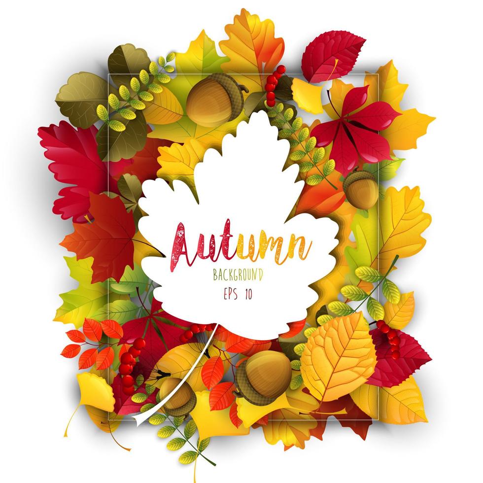 herfstachtergrond met herfstkleurenthema bladeren vector