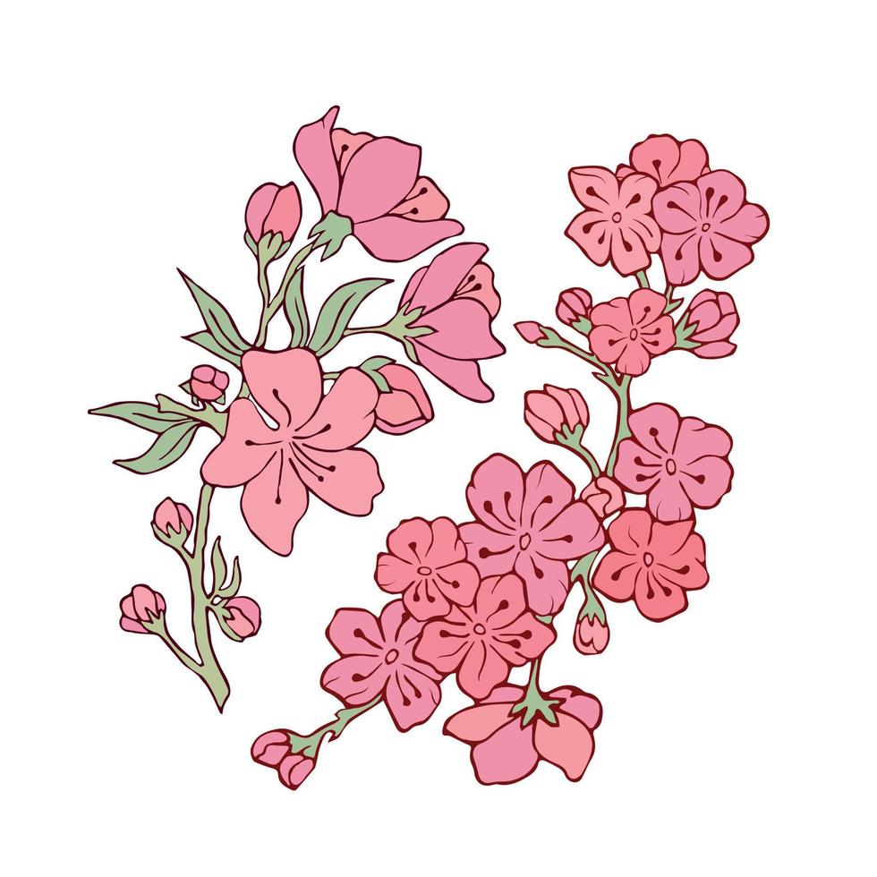 een set van twee twijgen met bloemen. vector