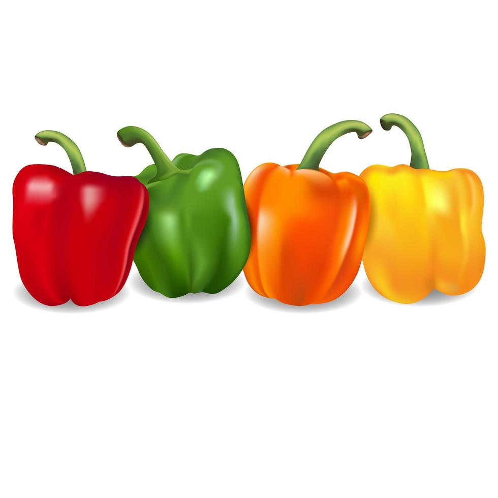 mooie verse kleurrijke paprika's op een witte achtergrond, vector