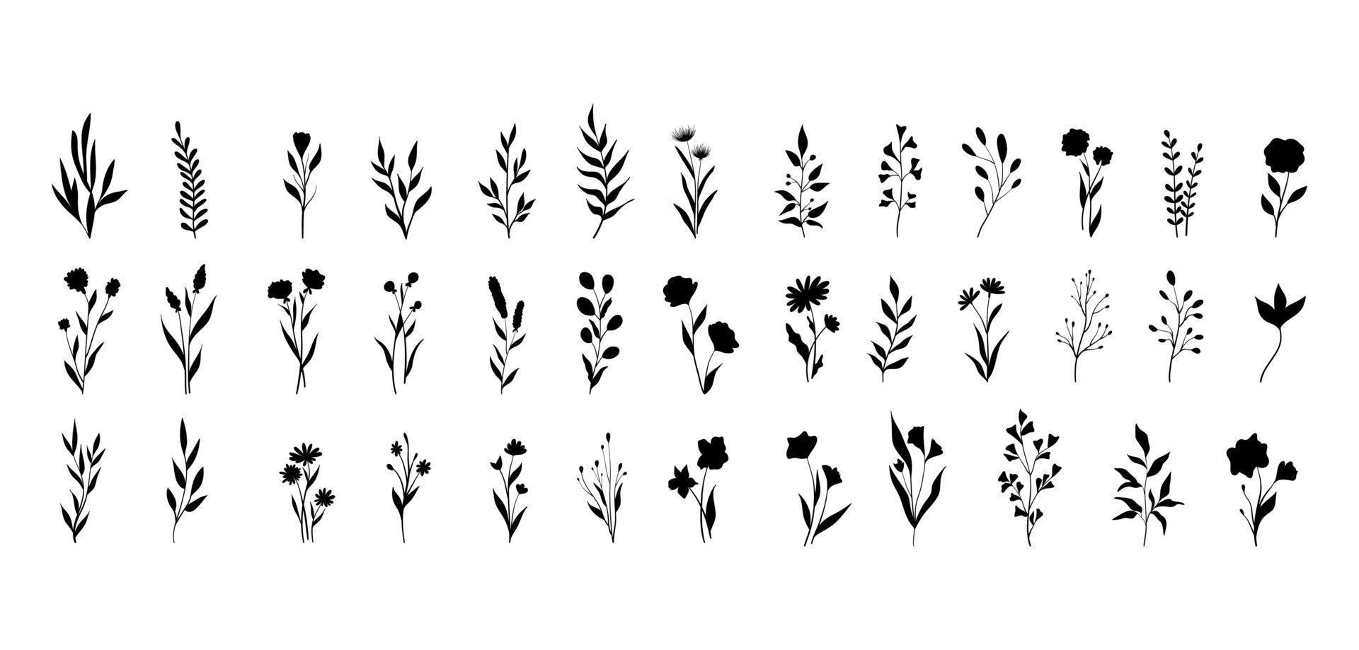 set vintage bloemen vectorelementen. leuke set doodle frames en randen. elementen bloemen, takken, sierletters en bloeit vector
