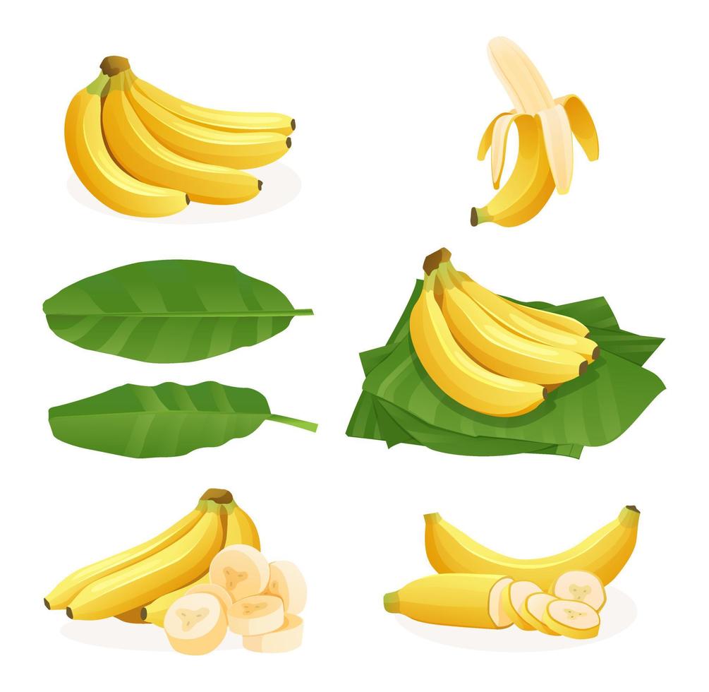 set van verse bananentrossen, single, schil, gesneden plak en bladeren illustratie geïsoleerd op een witte achtergrond vector