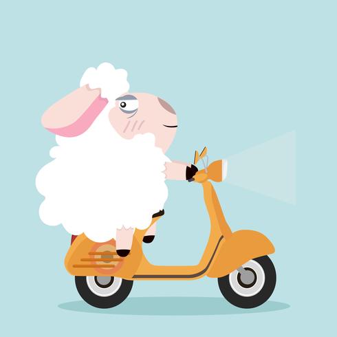 schattige schapen met gele scooter vector