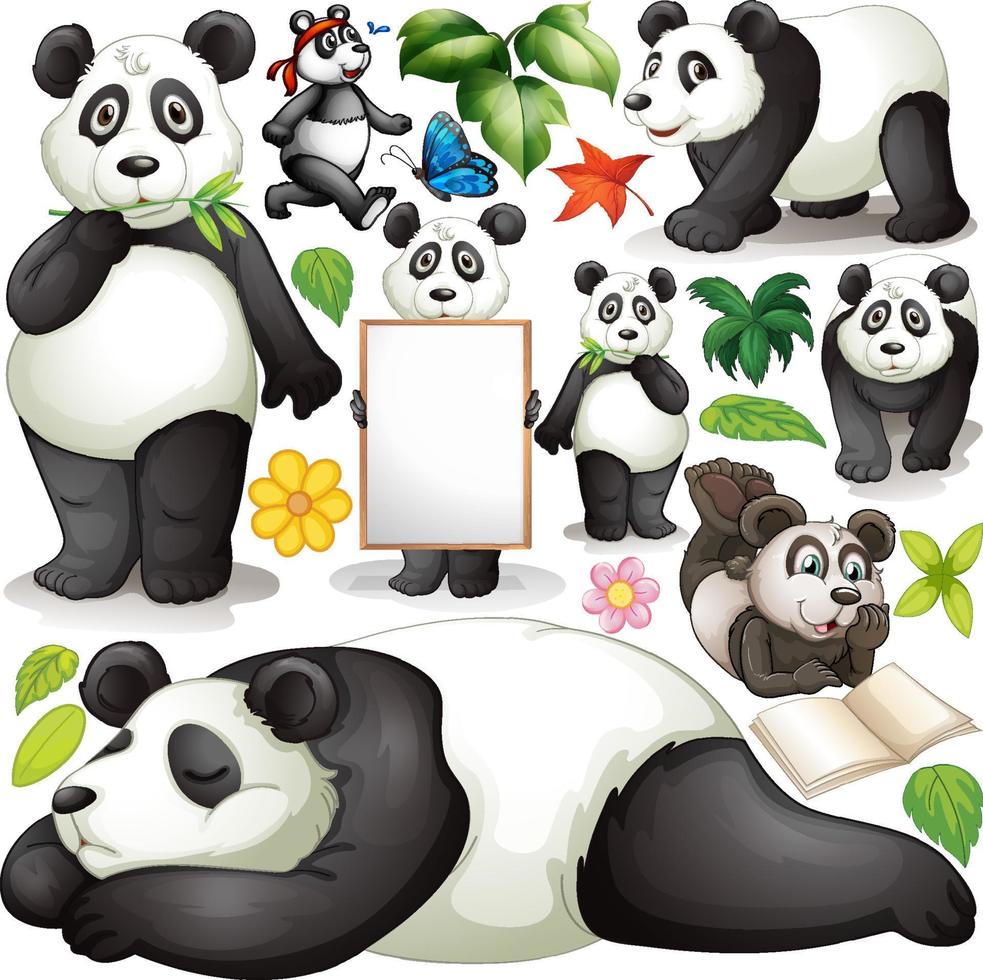 panda in verschillende acties vector
