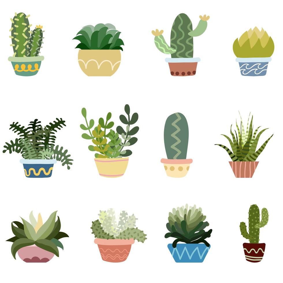 Cactussen in potten Set vector