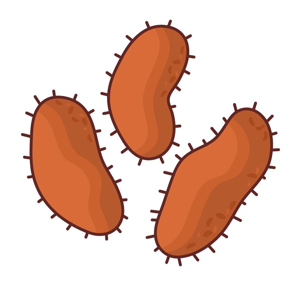 oranje bacterie ontwerp vector