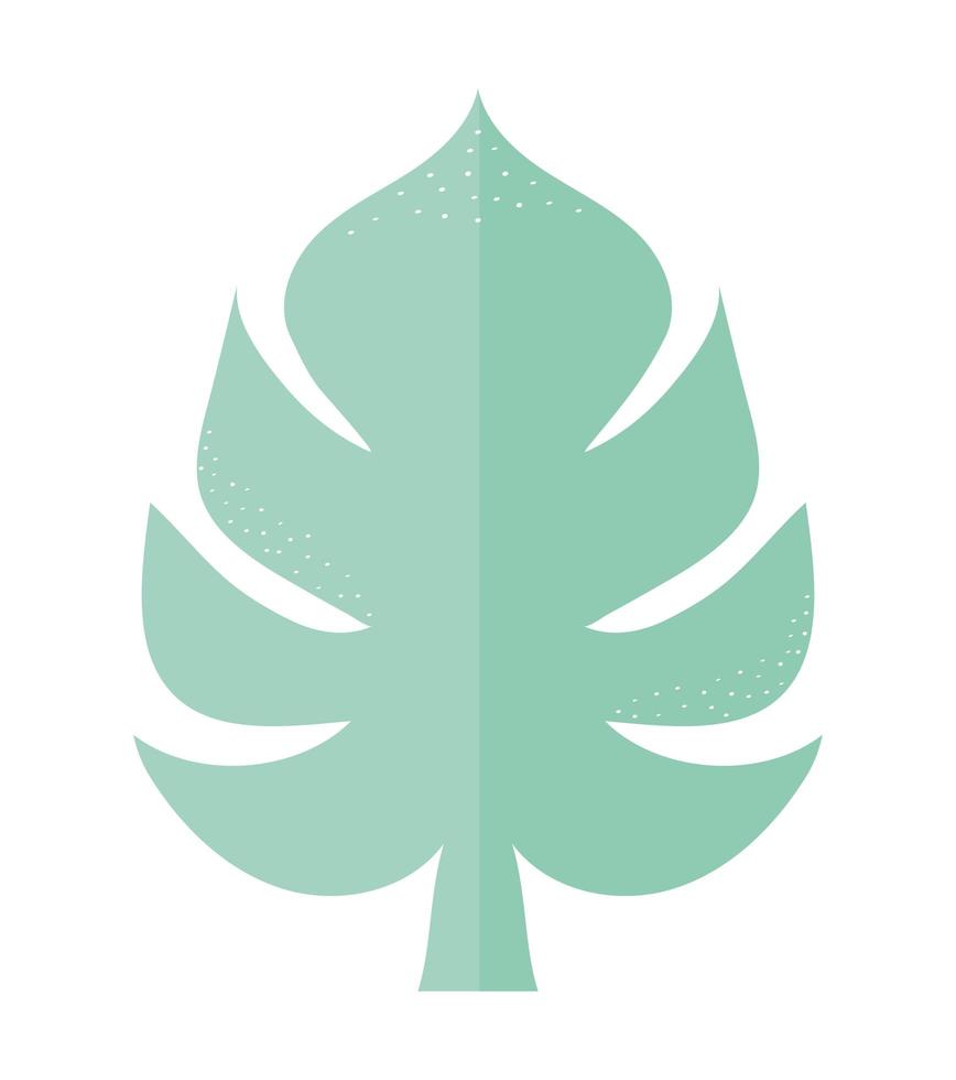 groene blad illustratie vector