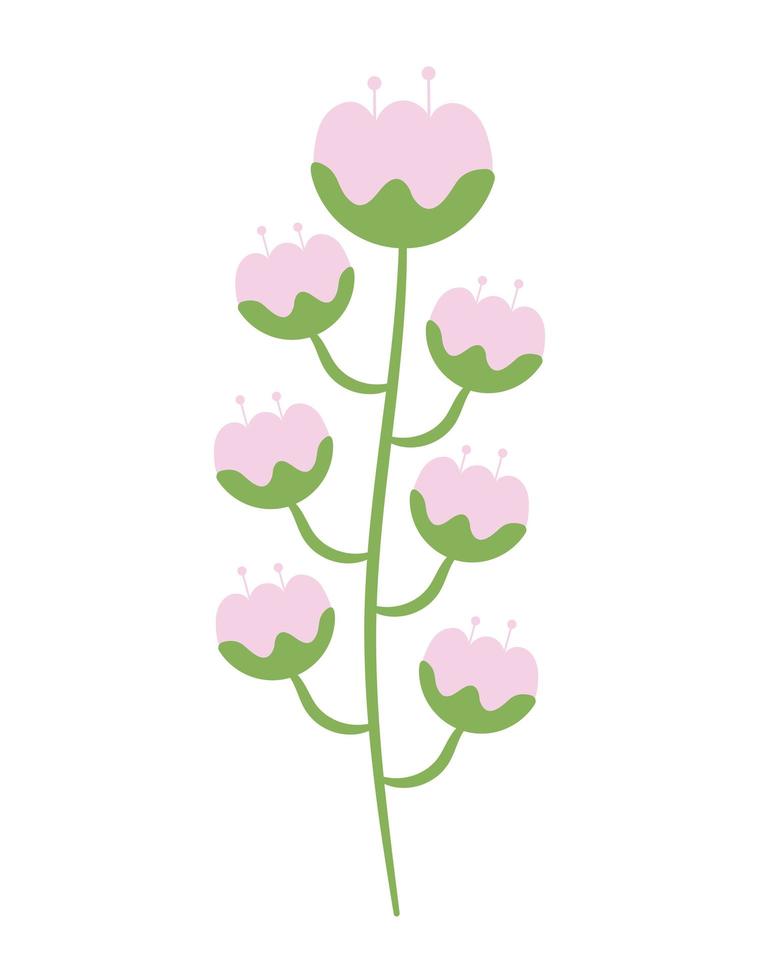 roze bloemen ontwerp vector