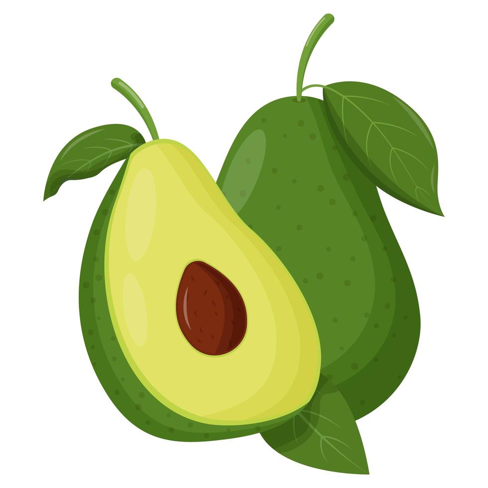 hele avocado geïsoleerd op een witte achtergrond. platte vectorillustratie vector