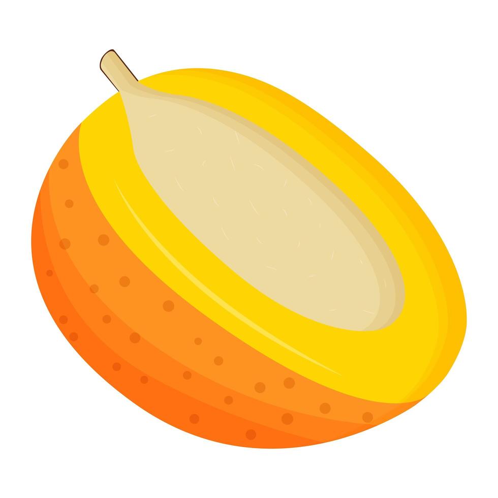 de helft van de mango op een witte achtergrond. platte vectorillustratie vector