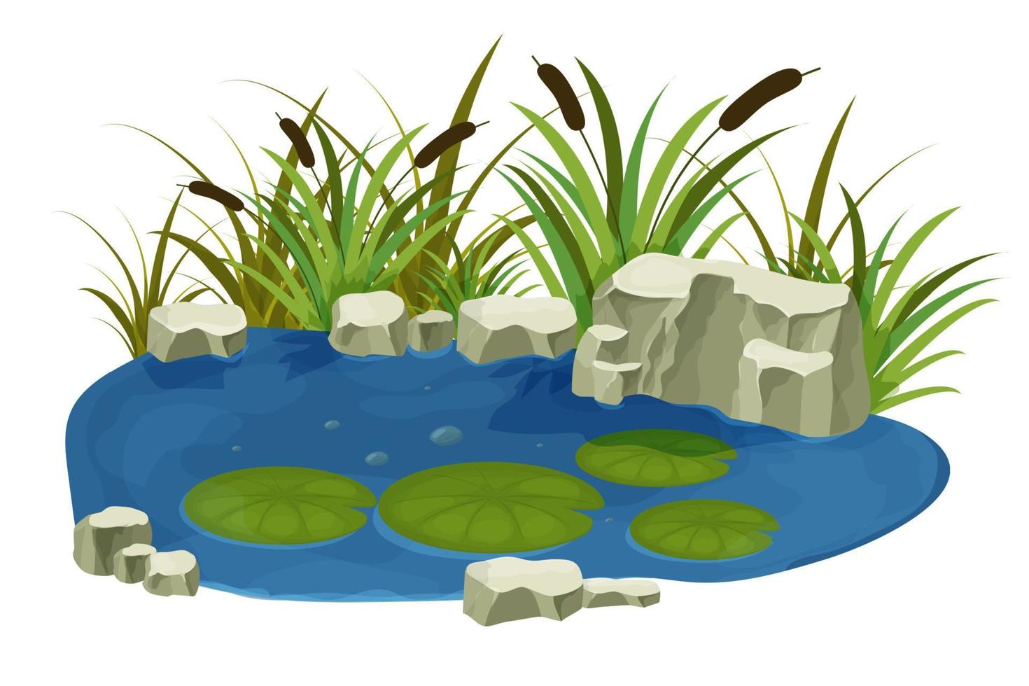 meer, moeras met stenen, lisdodde lelie bladeren in cartoon stijl geïsoleerd op een witte achtergrond. bos fantasiescène, wilde natuur. vector illustratie