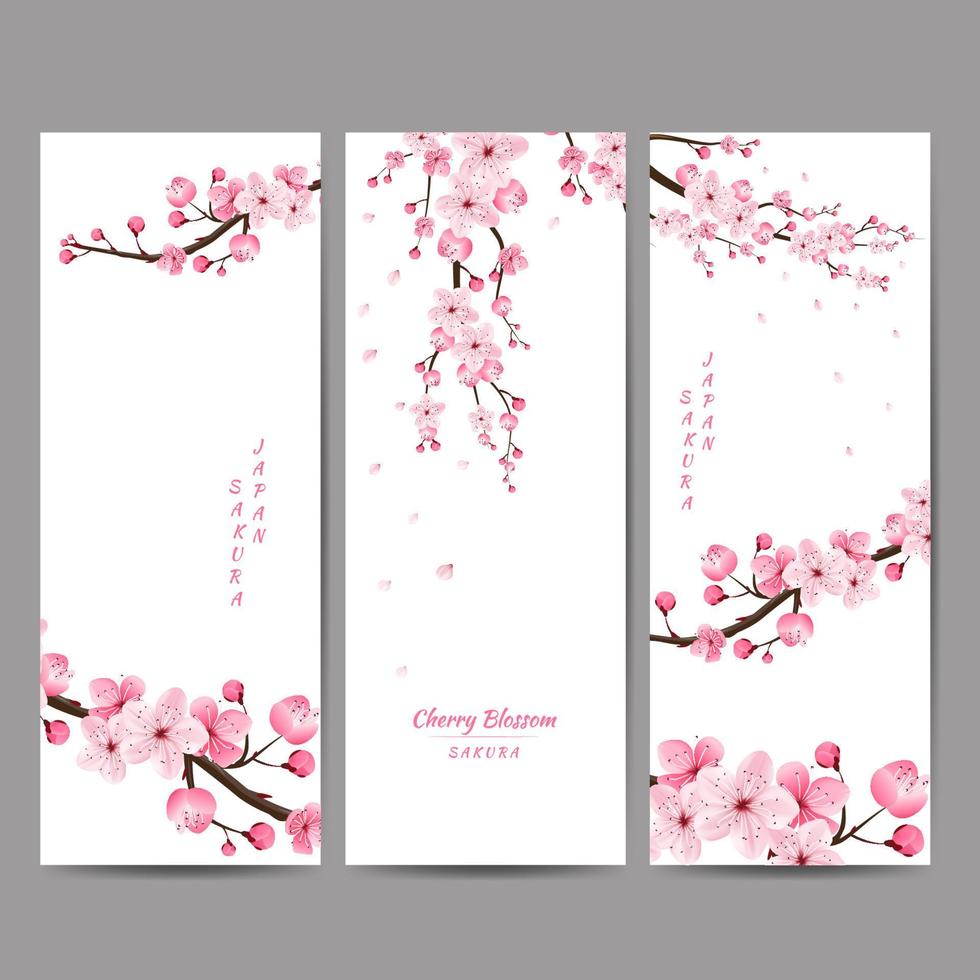 kersenbloesem, sakura, japan, japans bloemmotief, vectorillustratie. vector