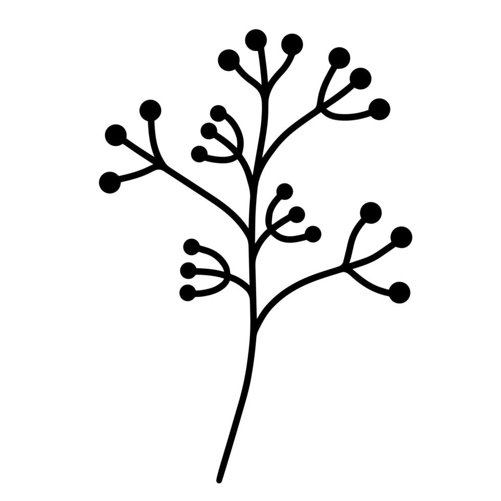 vector pictogram tak met bessen. botanisch element geïsoleerd op een witte achtergrond. handgetekende zwarte doodle. plant overzicht. silhouet van het veld gras. geneeskrachtige bloemen. vlakke stijl, zwart-wit.