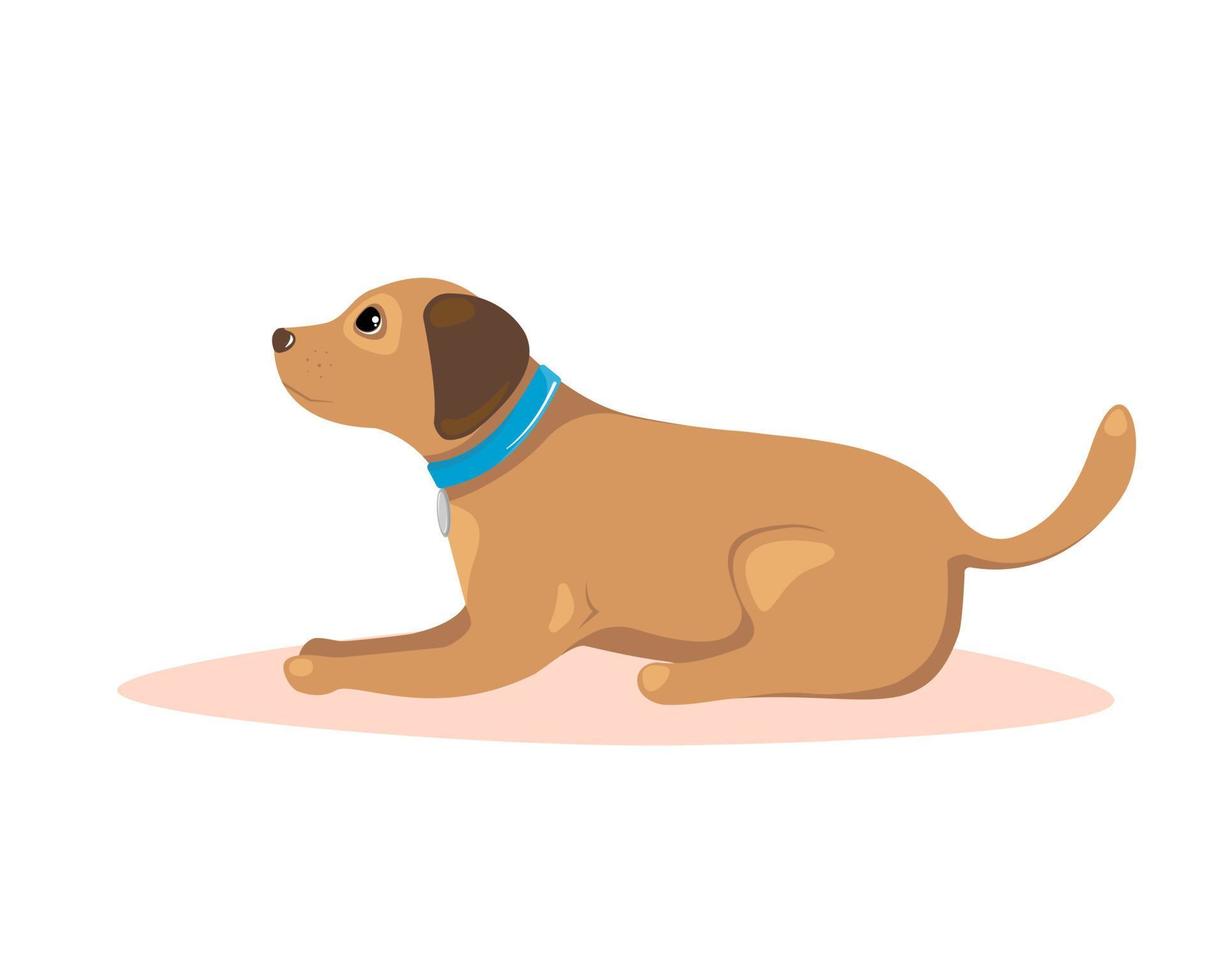 hond liegen. huisdier trainingsconcept. vectorillustratie. vector