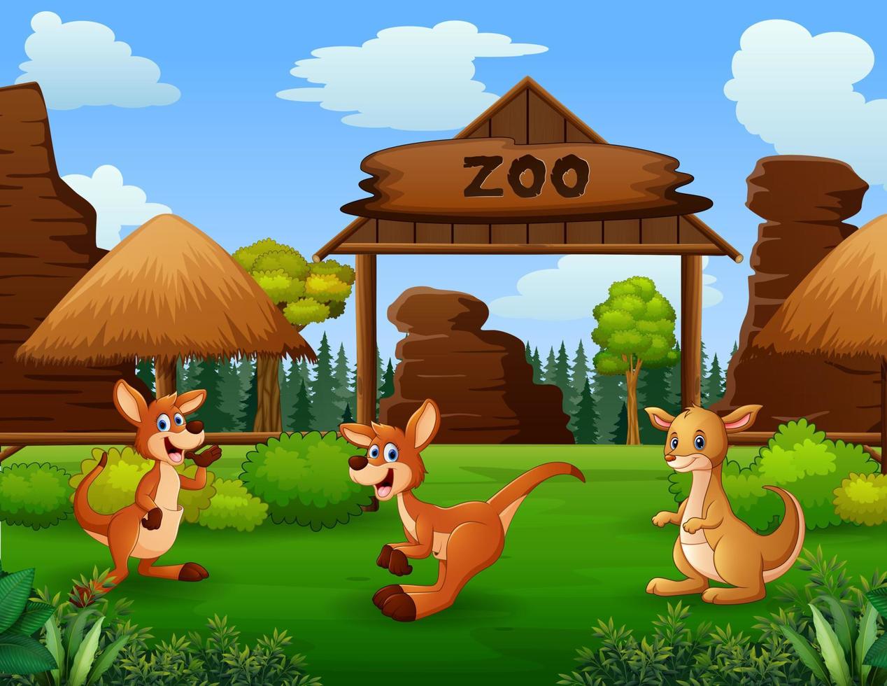 scène met drie kangoeroes in de open dierentuin vector
