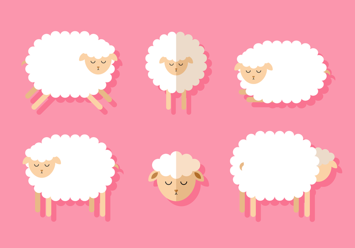 Vector schapen set