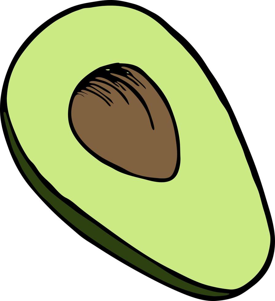handgetekende illustratie met avocado, vectorillustratie vector