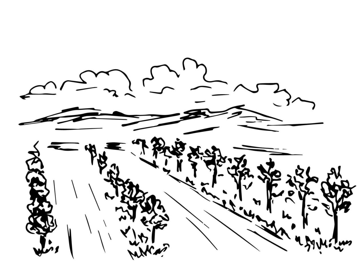handgetekende eenvoudige inkt vector tekening. landschap, tuin fruitbomen, groeiende planten. wijngaard, rijen struiken, bergen aan de horizon, wolken. natuur, landbouw, landbouw. organische producten.