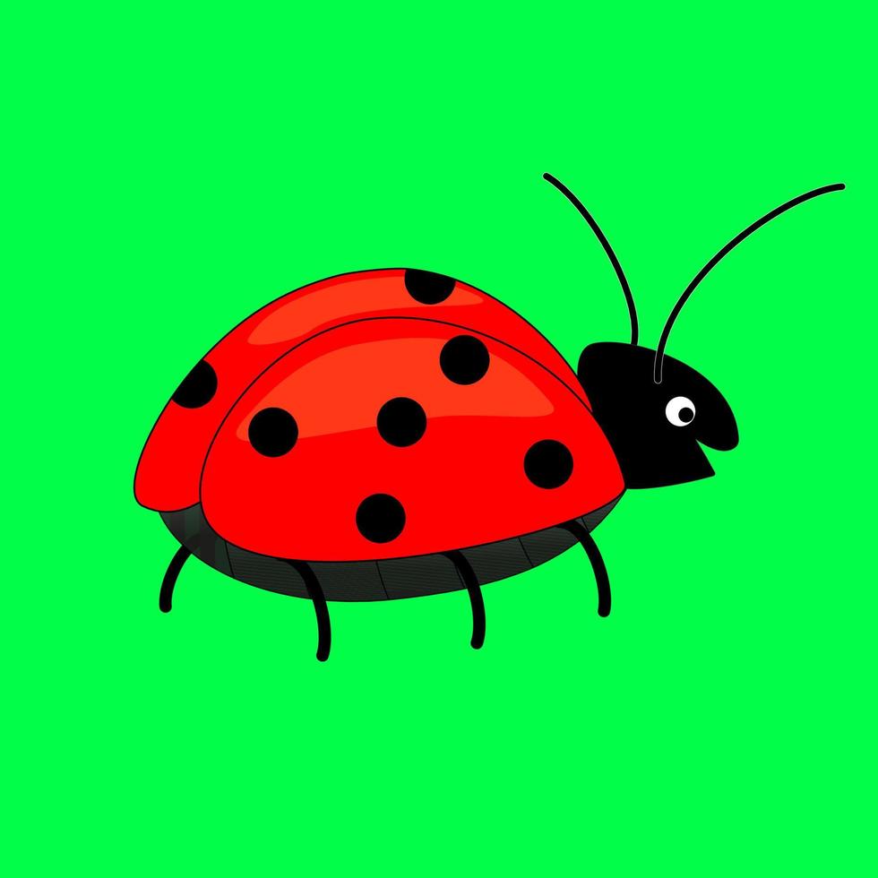 lachend schattig lieveheersbeestje op een groene achtergrond. vector illustratie