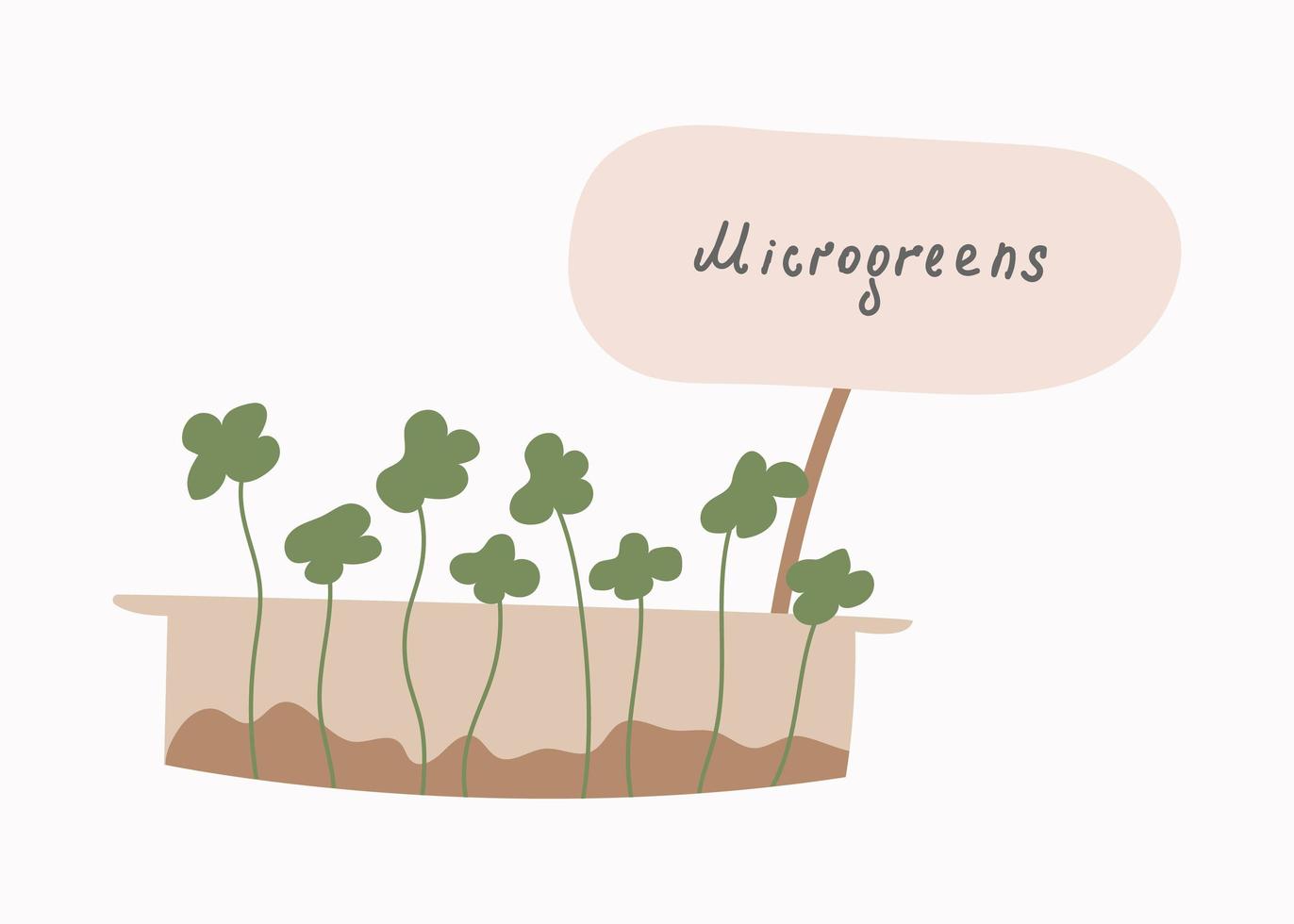 microgroenten. het concept van gezond eten. thuis superfoods kweken. platte vectorillustratie. vector