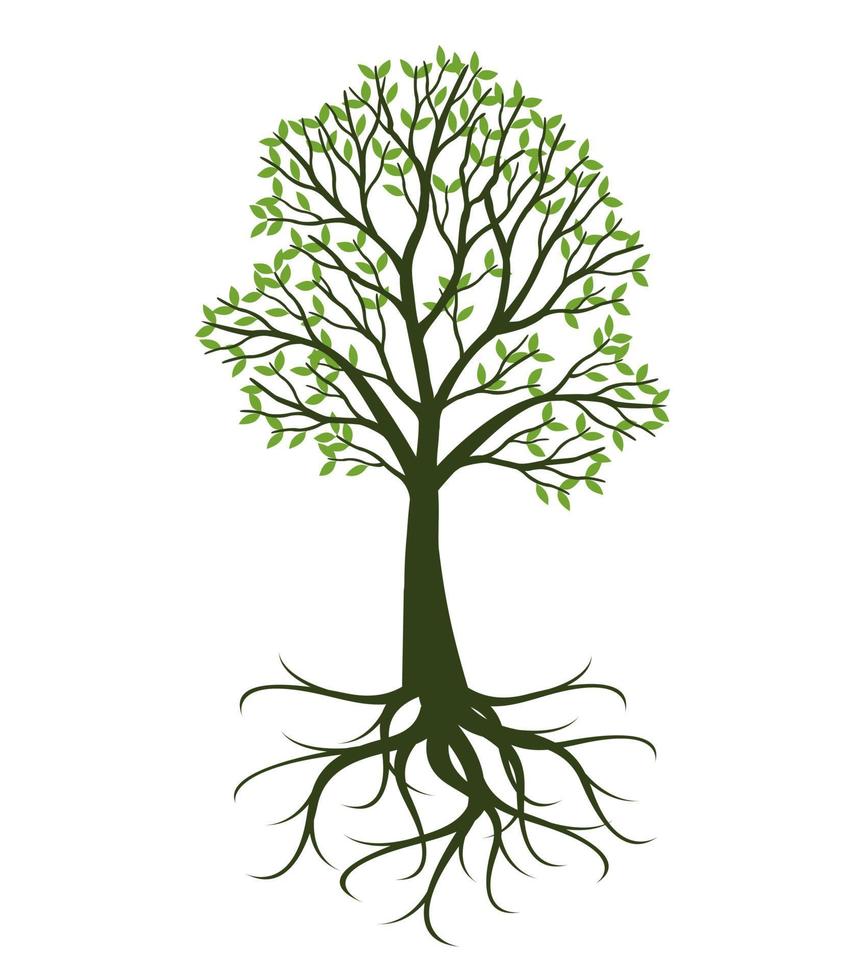 groene boom met wortels. vectorillustratie. vector