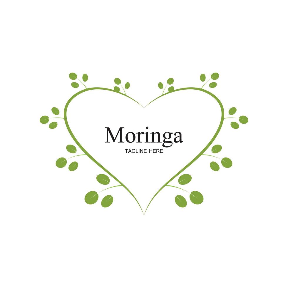 moringa blad logo illustratie vector ontwerp