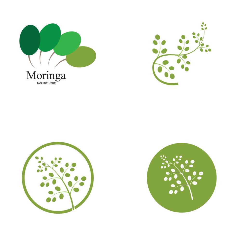 moringa blad logo illustratie vector ontwerp