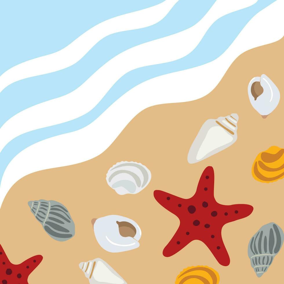 strand wallpaper achtergrond met schelpen en zeester. vector