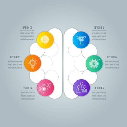 Hersenen infographic ontwerp bedrijfsconcept met 6 opties, onderdelen of processen. vector