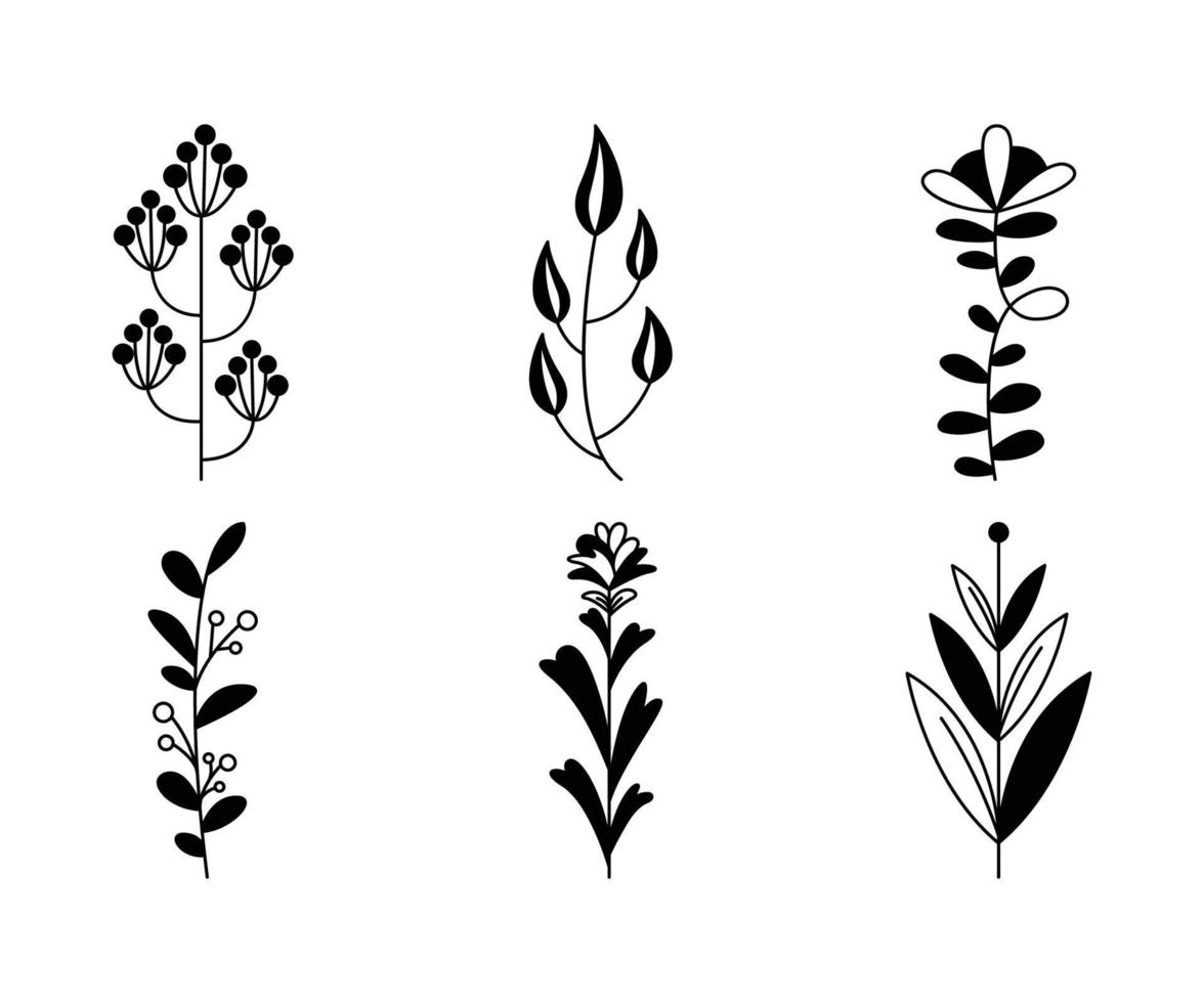 bloemen en bladeren, bloemendecoratie vectorillustratie vector