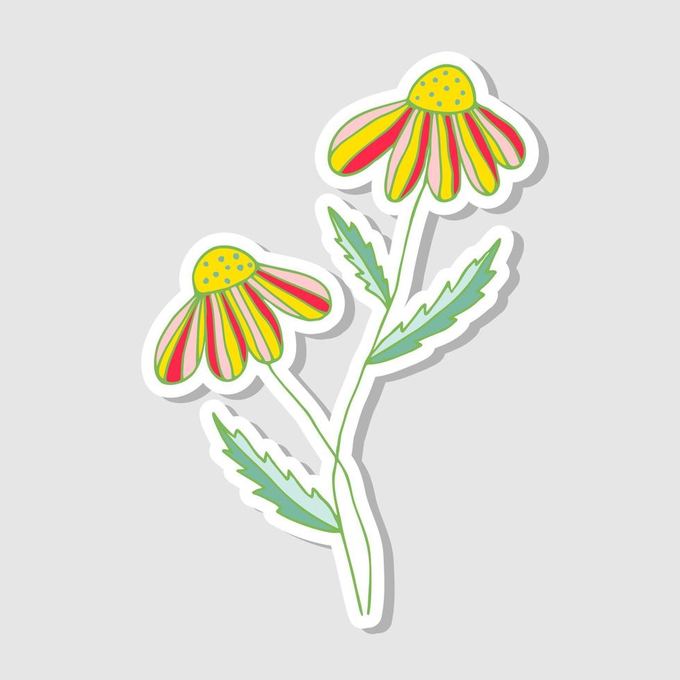 illustratie van decoratieve kamille. stickers met bloemen voor het album. mooie bloemen stickers.doodle stijl. heldere bloemen tekenen. vectorillustratie. vector