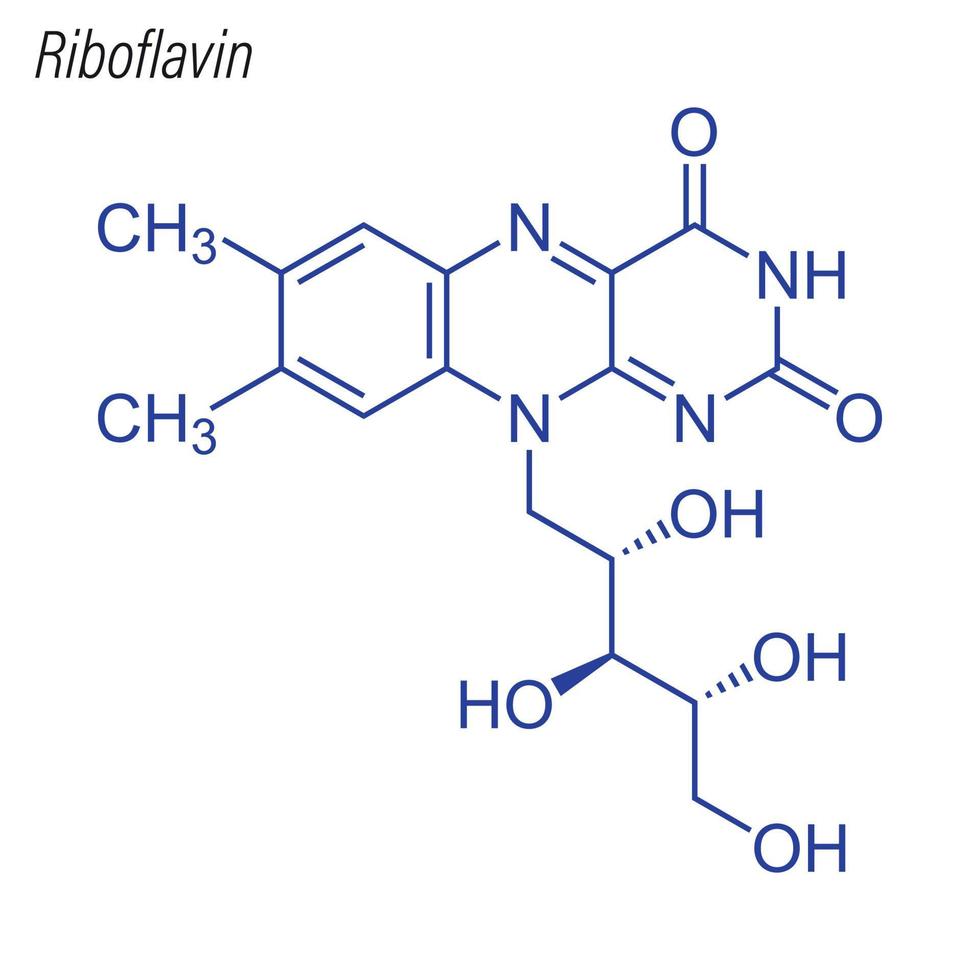 vector skeletformule van riboflavine. drug chemische molecuul.