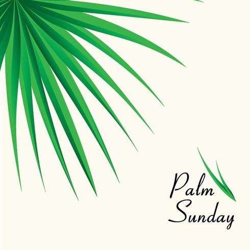 Palmzondagachtergrond met palmbladen vector