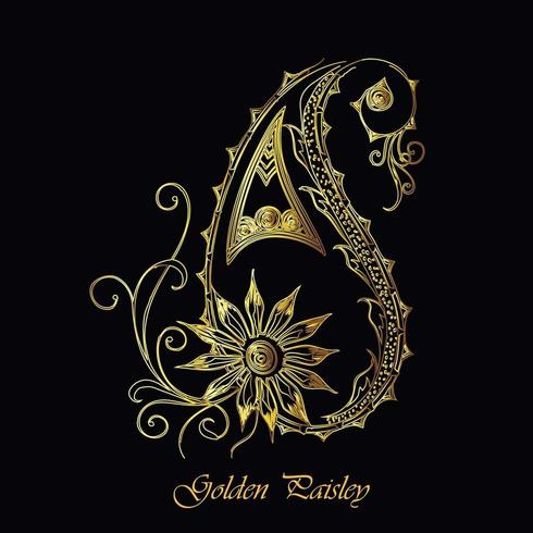 Elegant gouden sierontwerp van Paisley vector