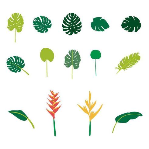 Hand getrokken plat tropische planten set vector