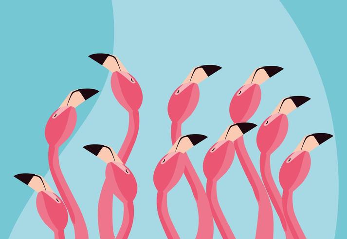 flamingo&#39;s vogels trekken koppels aan vector