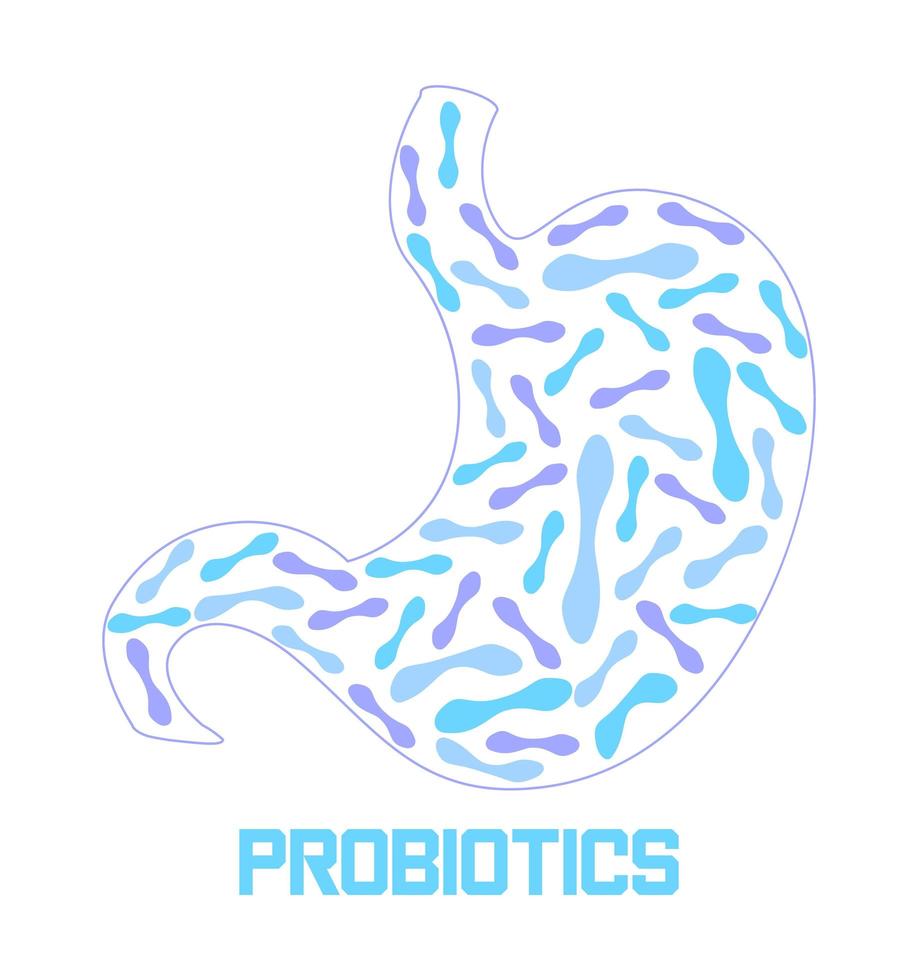 maag krijgt probiotische bacteriën, lactobacillus. gezondheidszorg logo, immuniteit ondersteuning concept vector voor spandoek, poster, flyer, website. symbool van nuttige melk