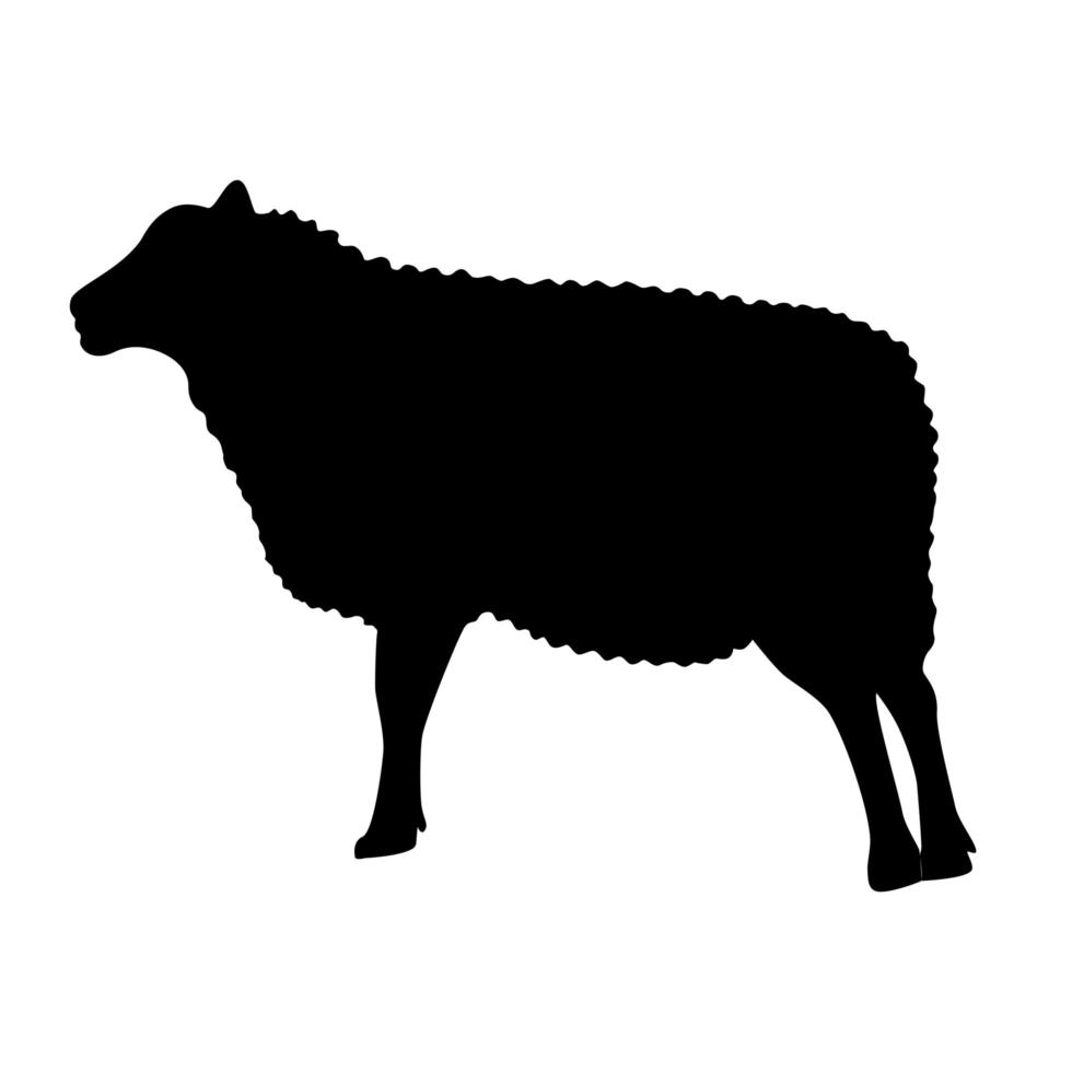 schapen silhouet geïsoleerde vectorillustratie vector