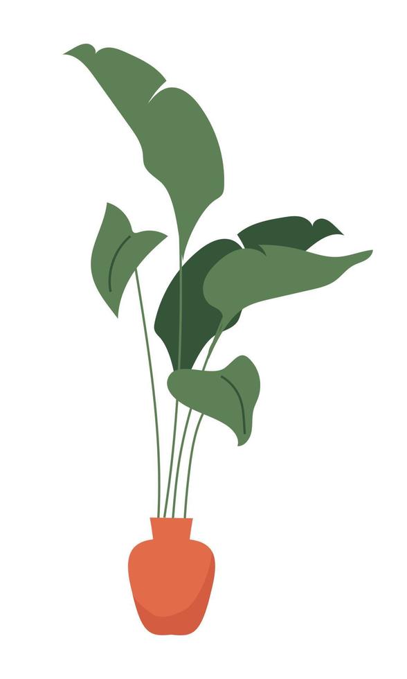 monstera deliciosa plant voor huis interieur semi-egale kleur vectorobject vector