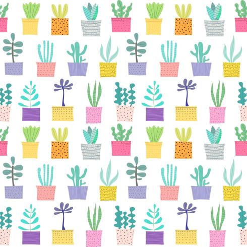 Succulente plant naadloze patroon achtergrond vector