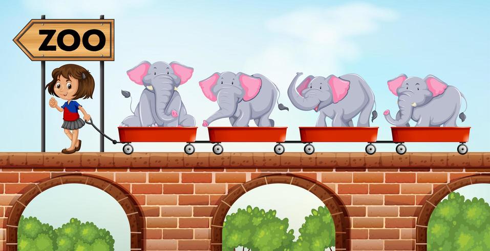Meisje trekt karren geladen met olifanten naar de dierentuin vector