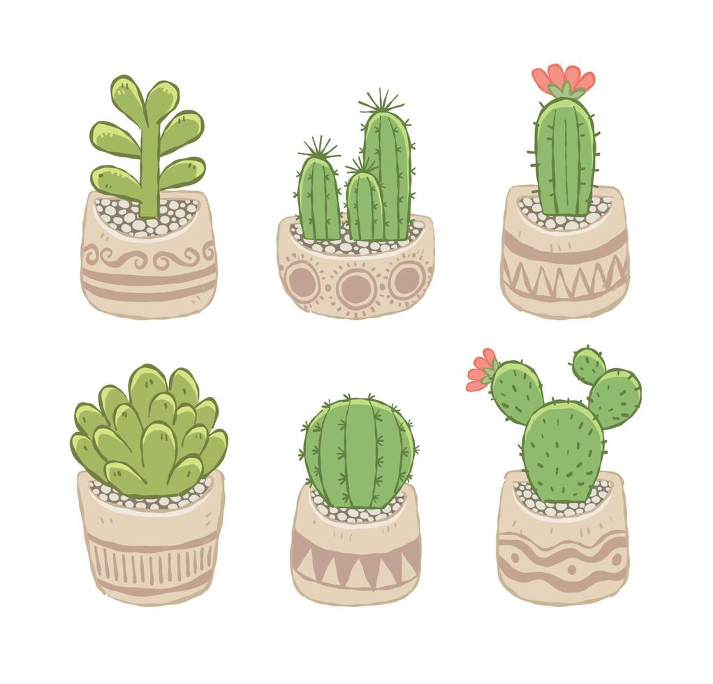 verschillende succulenten en cactussen in kleine schattige pot vector