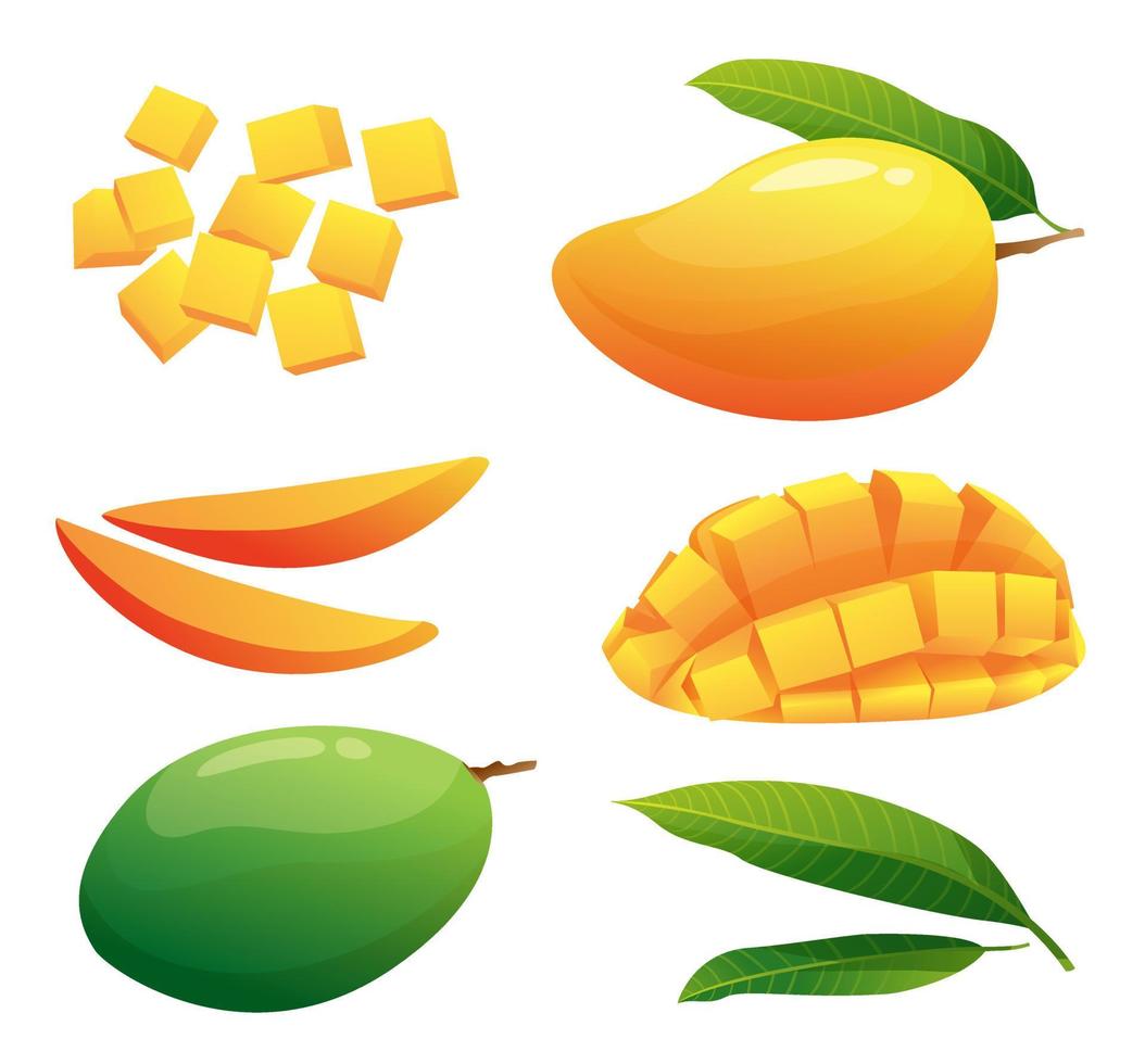 set van verse mango vruchten hele, halve en kubieke plakjes illustratie geïsoleerd op een witte achtergrond vector