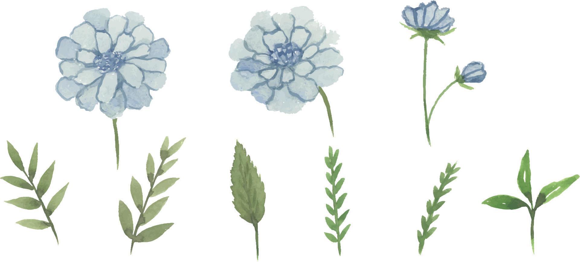 set van aquarel wilde bloemen hand getekende bladeren en bloemen met boeket elementen geïsoleerde collectie vector