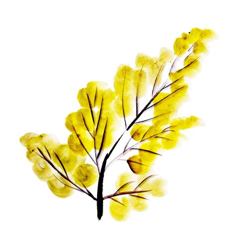 Geel Waterverf Herfstblad vector