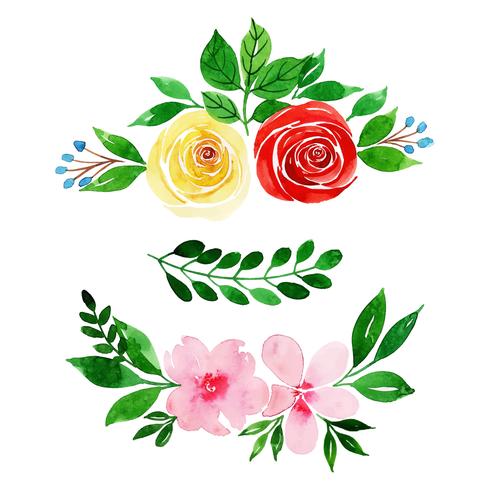 Aquarel bloemencollectie vector